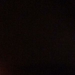 Meet your Posher, Bella